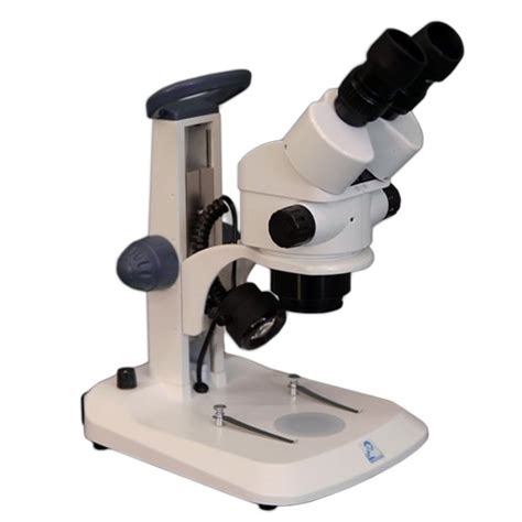 Stereo Microscope 的图像结果