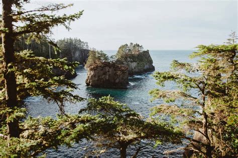 The Complete Guide To Visiting Cape Flattery Trail in Washington - The ...