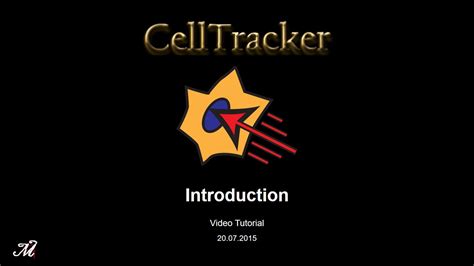 Image result for Manual Tracking ImageJ