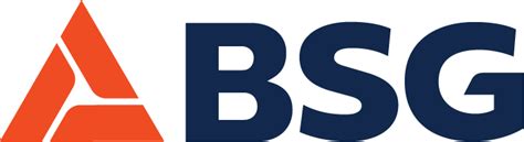 BSG Tutorial 的图像结果