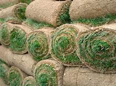 tappeto erboso sintetico prezzi prezzi prato a rotoli prato erba a rotoli tappeto erboso sintetico prezzi prezzi prato a rotoli prato erba a rotoli