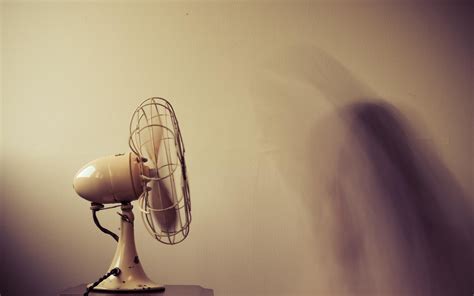 Image result for Fan Programming Language