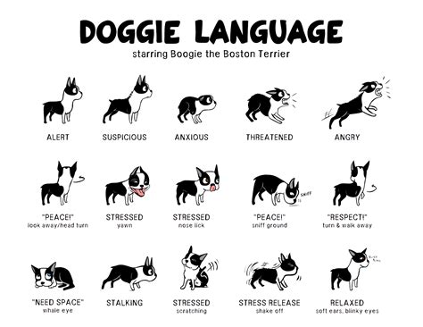 Dog Body Language Chart