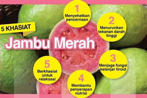 manfaat jus jambu merah dan apel
