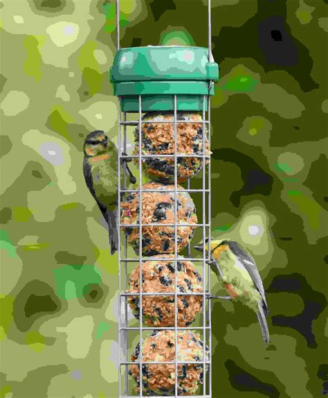 Bird Lovers Suet Feeder from Living with Birds