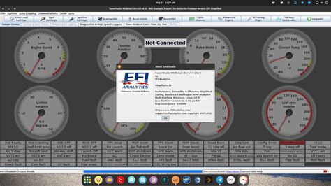 Image result for TunerStudio Configuring Inputs