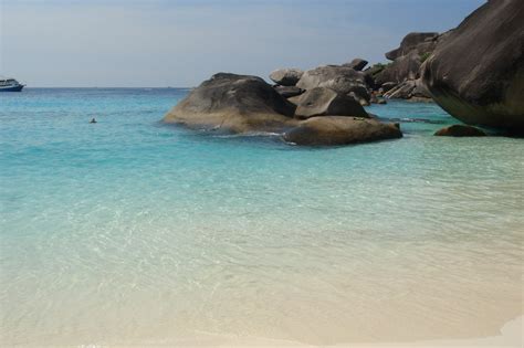 Image result for paradise