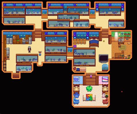 My farmer's life's work is complete - sea urchins wearing every ...