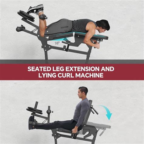 FAGUSH Leg Extension and Leg Curl Machine, Seated Leg India | Ubuy