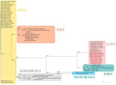 Complete Genome Sequencing and Comparative Phylogenomics of Nine ...
