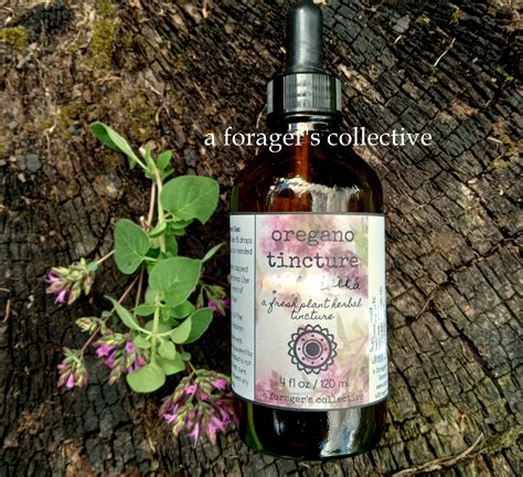 Oregano Tincture , Origanum Vulgare Extract , Fresh Leaf Herbal ...