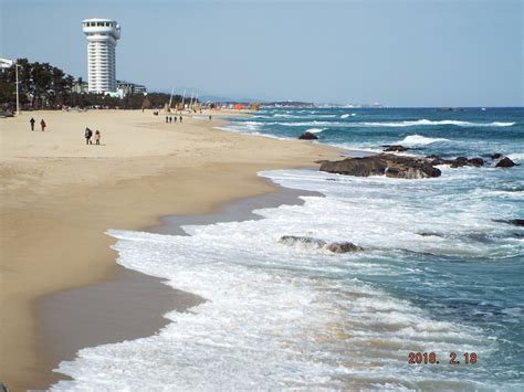 Image result for Lab Report of Python Language