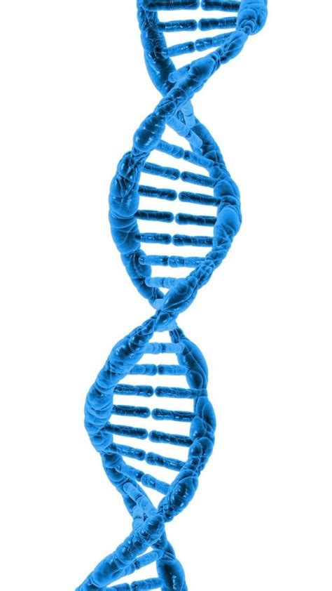 Image result for DNA and Computer Code