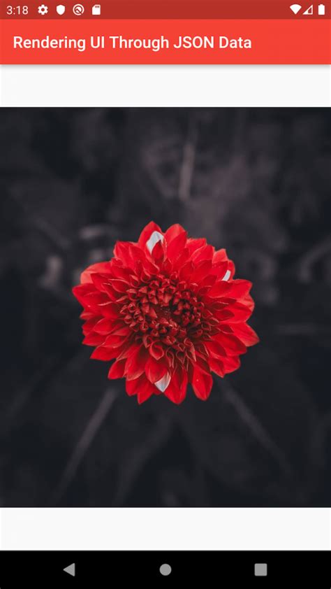 Image result for Flutter Dynamic Widgets JSON