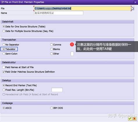 LSMW Vs BAPI 的图像结果
