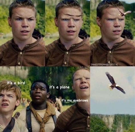 Will Poulter Meme Template