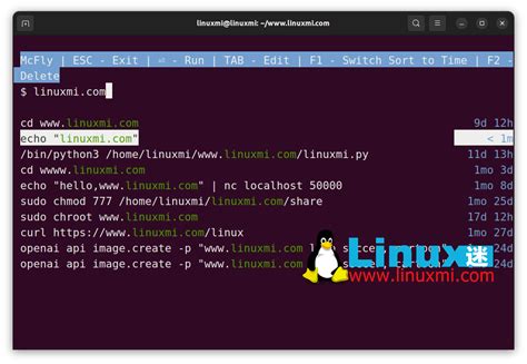 How U Get to Linux Shell 的图像结果