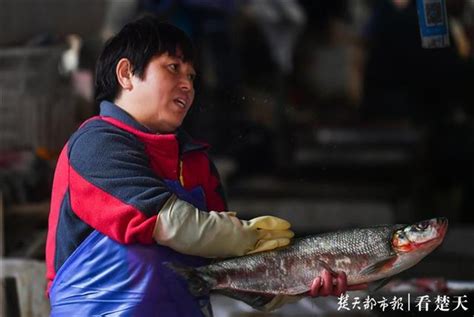 日均近20位市民从武汉三镇赶来买鱼 杀鱼姐感谢好心人_湖北频道_凤凰网