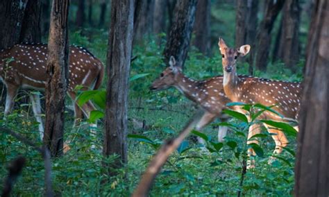 Read all Latest Updates on and about Doctrine of Public Trust