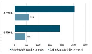 2020年中国核电站行业市场现状分析，中核、中广核“二分天下”「图」_华经情报网_华经产业研究院