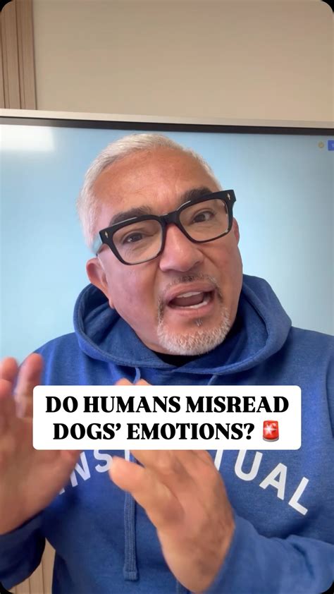 Cesar Millan | 2025 a year that we can collectively wish for Better ...