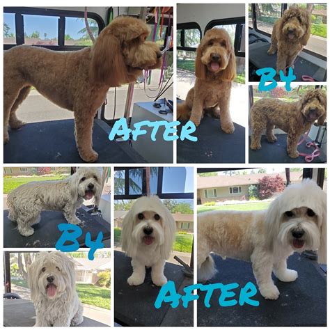 Online booking - Bark Bath and Beyond Pet Grooming