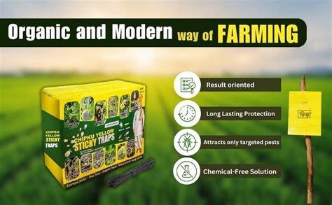 Chipku A5 Yellow Sticky Trap for Insects Pack of 25 Sheets| for Garden ...