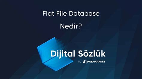 Flat File Database Examples 的图像结果