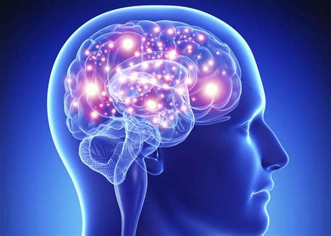 Wet brain syndrome stages, causes, signs, symptoms, diagnosis & treatment