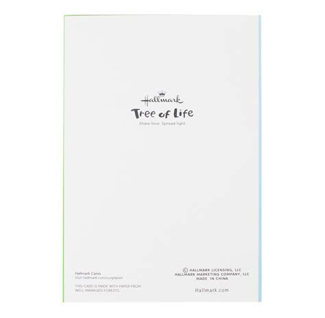 Bar Mitzvah, Bat Mitzvah and Mazel Tov Assorted Cards, Pack of 12 ...