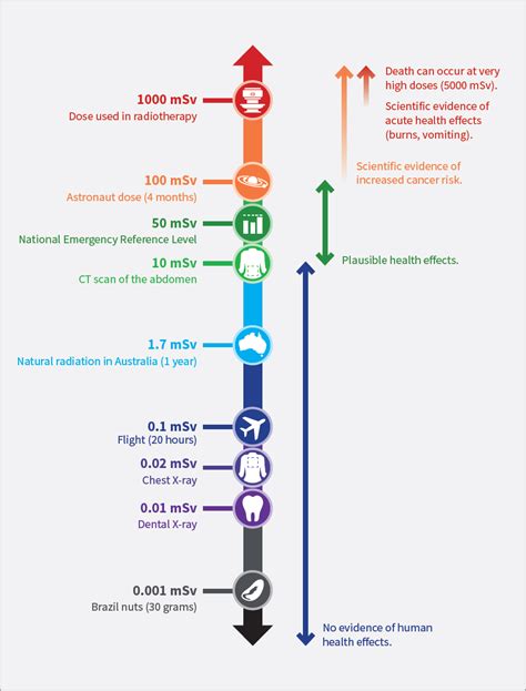 Radiation Exposure Levels Chart 的图像结果