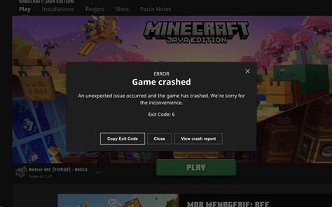 Minecraft Java Runtime Crash 的图像结果