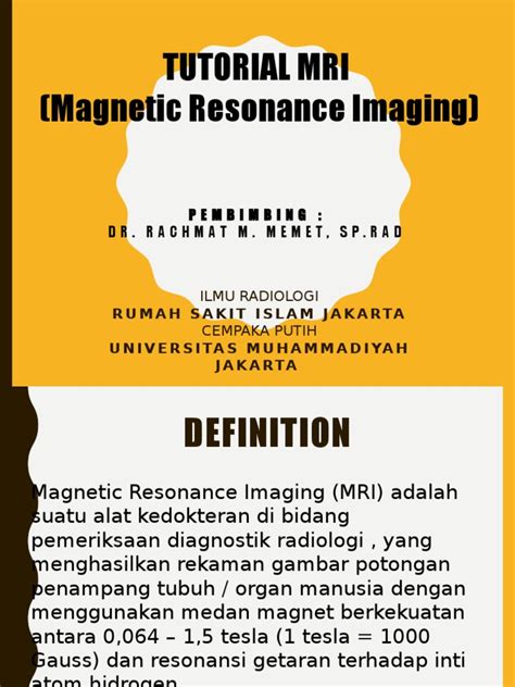 MRI Software Tutorial 的图像结果