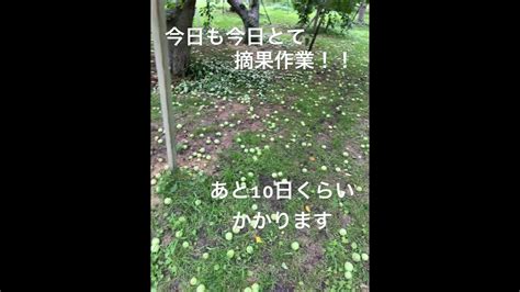 Image result for Particle Swarm Optimization Python