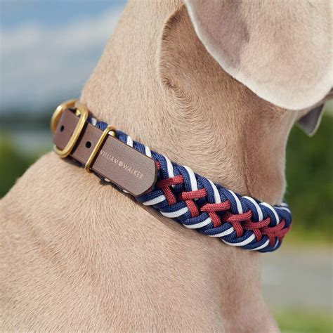 William Walker Dog Collar Royal | Paracord dog collars, Paracord, Dog ...