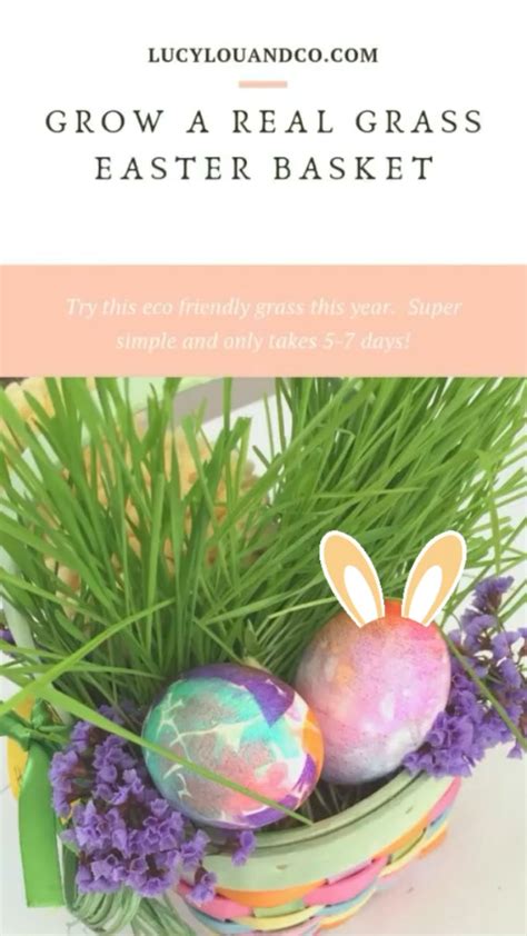Grow real easter basket grass – Artofit
