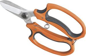 FALCON BONCUT_001 Bonsai Cutter Price in India - Buy FALCON BONCUT_001 ...