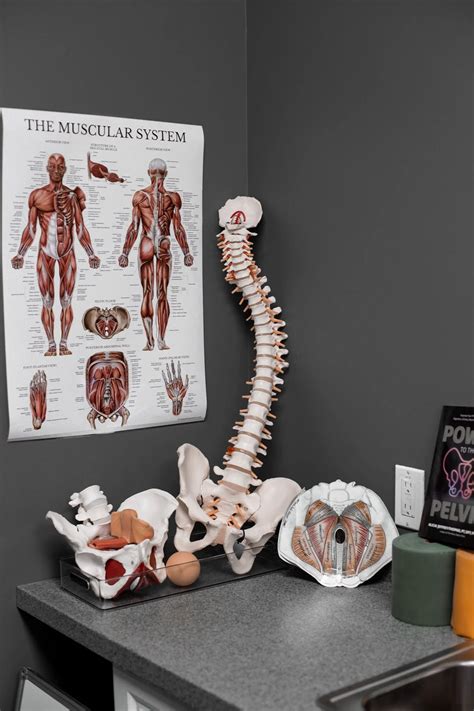 The Movement Solution