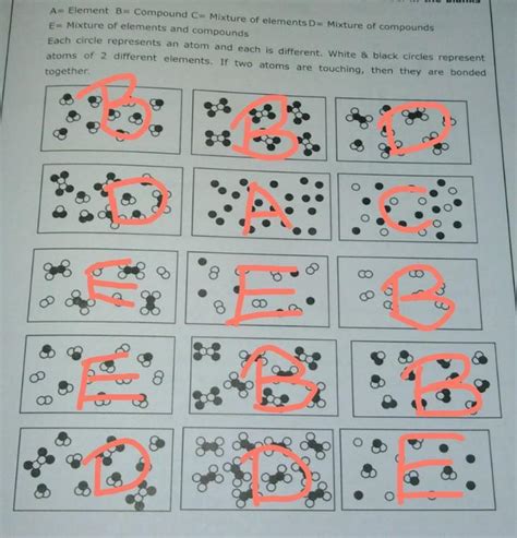 Classify each of the pictures below by placing the correct label in the ...