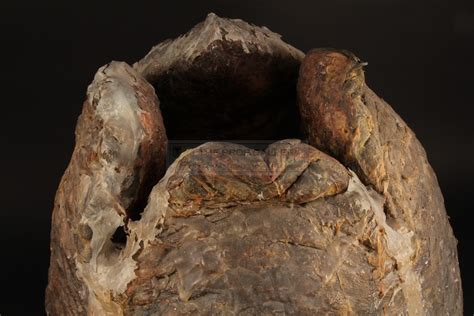 Image result for Alien Egg Prop