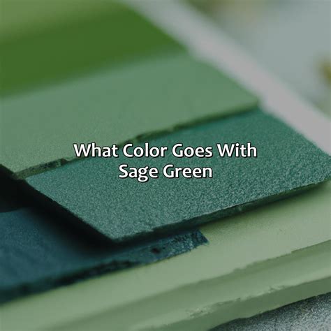 What Colour Goes With Sage Green Jacket at Alana John blog