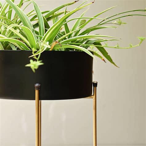 Black Pots With Gold Legs for Indoor Plants – Mora Taara
