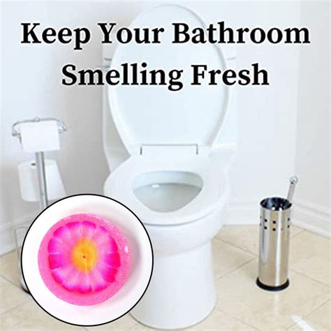 6284 World Air freshener Flowers Block for Bathroom — DeoDap