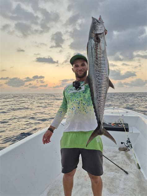 Kingfish / Narrow-barred Spanish Mackerel - Friends of Nature