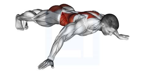 Image result for Front Lever