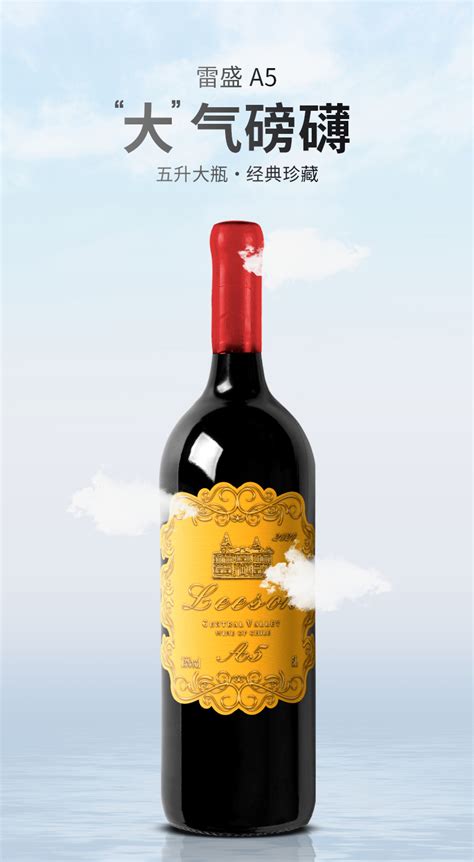雷盛红酒A5智利干红葡萄酒5L超大瓶装_品质、珍品系列_雷盛红酒官网