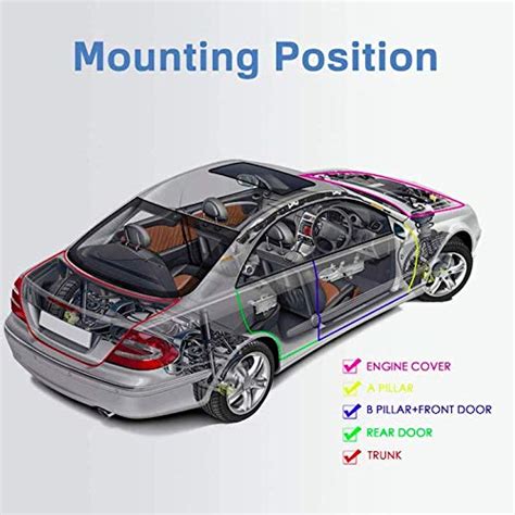 Automaze D-Shape Door Seal Beading Width Automotive Window Door ...