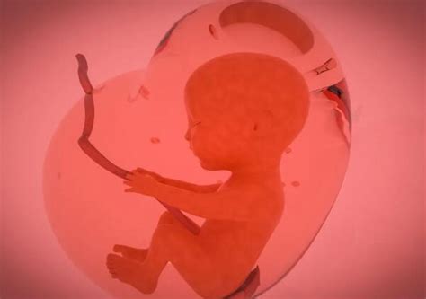 胎动多是宫内缺氧？关于胎动，准妈妈必须知道这些 - 燕达医院