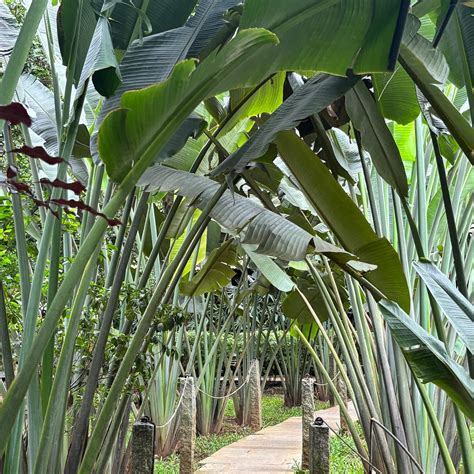 MANGO MIST RESORTS (Bengaluru) - Hotel Reviews & Photos - Tripadvisor