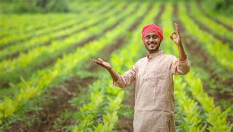 How Patanjali’s Farming Initiatives Are Proving To Be A Game-Changer ...